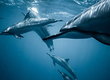 MK体育登录入口：开启专属体育世界的大门