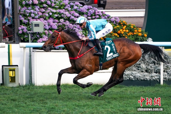 历史结果查询-香港赛驹“浪漫勇士”四夺“女皇杯”冠军|赛马|香港沙田马场|体育比赛|保险|比赛_新浪体育_新浪新闻